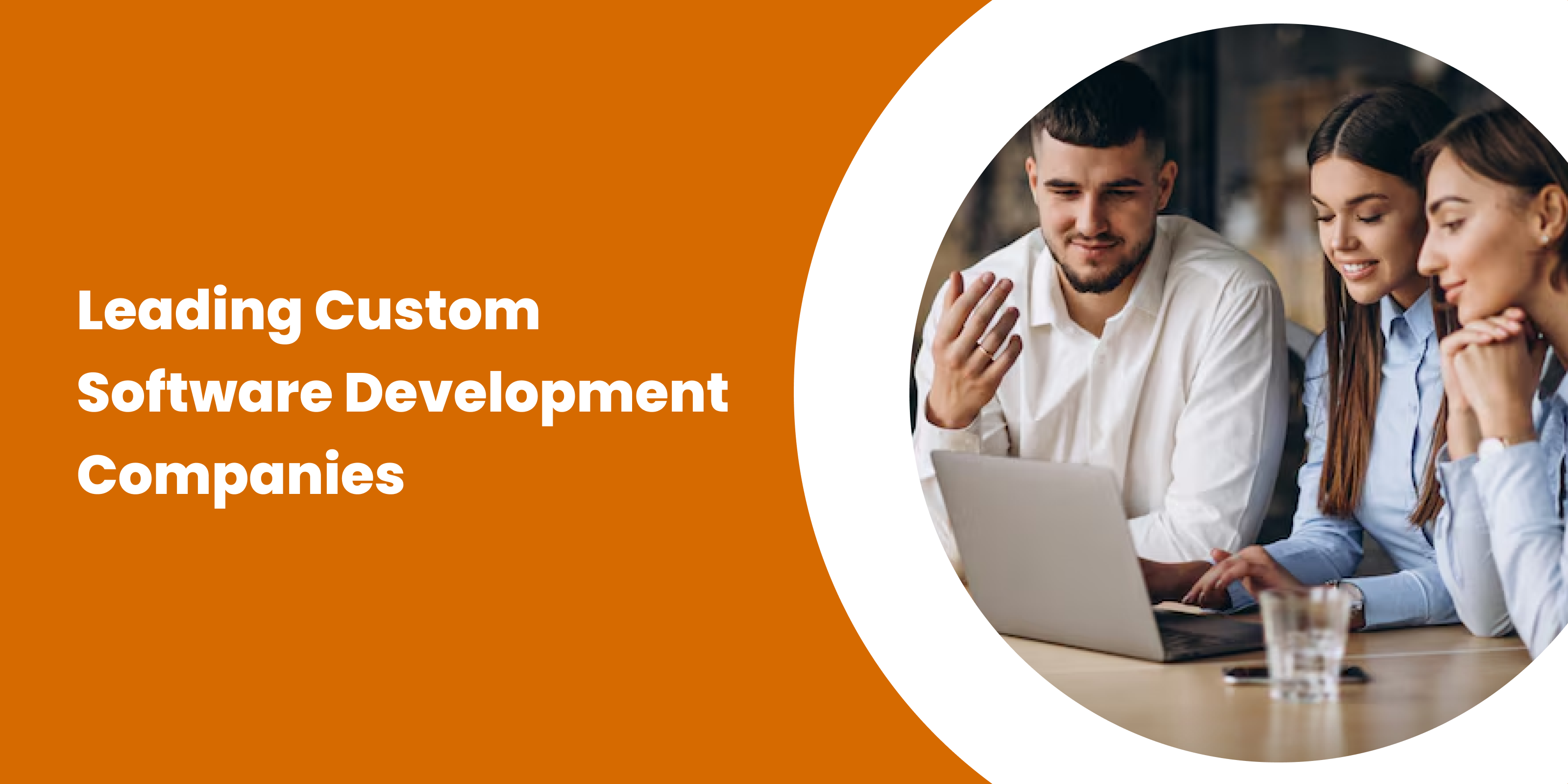 Banner Image For Custom Software Development Companies 